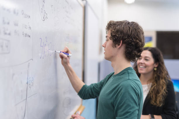 Behavioural Scientist